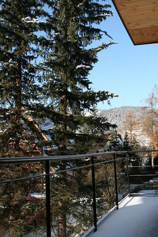 Willa Na Wilcznik Zakopane Apartment